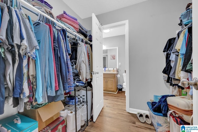 276 River Oak Trl, Hayden, AL 35079 - walk in closet with light wood-type flooring