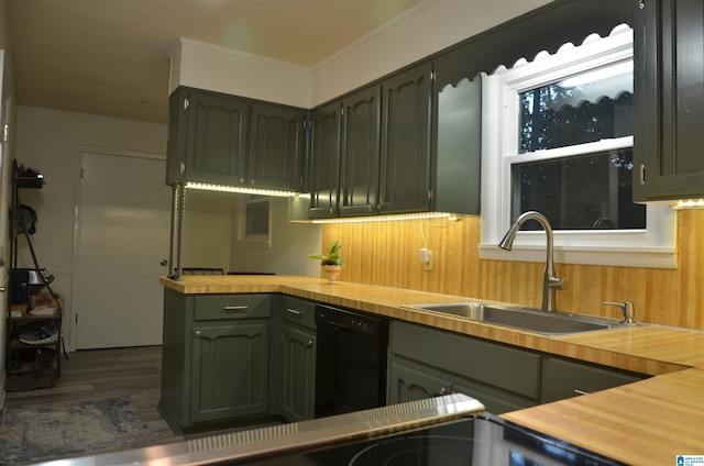 1679 Curry Hwy, Jasper, AL 35503 - kitchen with dishwasher, a sink, dark wood-style flooring, ornamental molding, and green cabinets