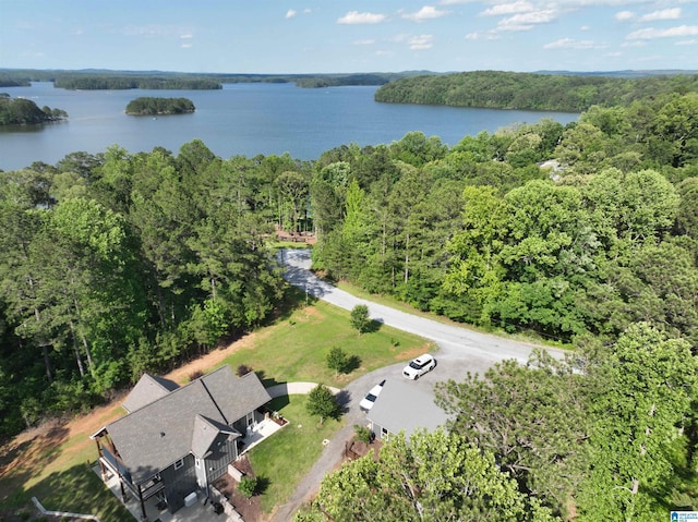 171 Sweetwater Dr, Wedowee, AL 36278 - aerial overview of property's location with a heavily wooded area and a nearby body of water