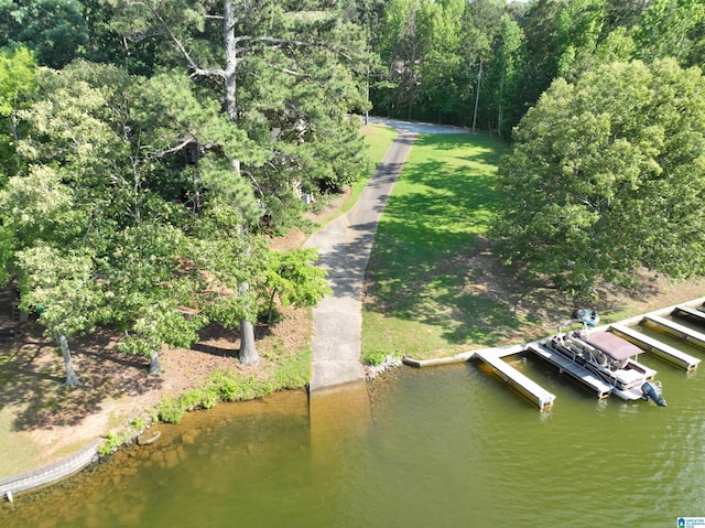 171 Sweetwater Dr, Wedowee, AL 36278 - drone / aerial view of a large body of water
