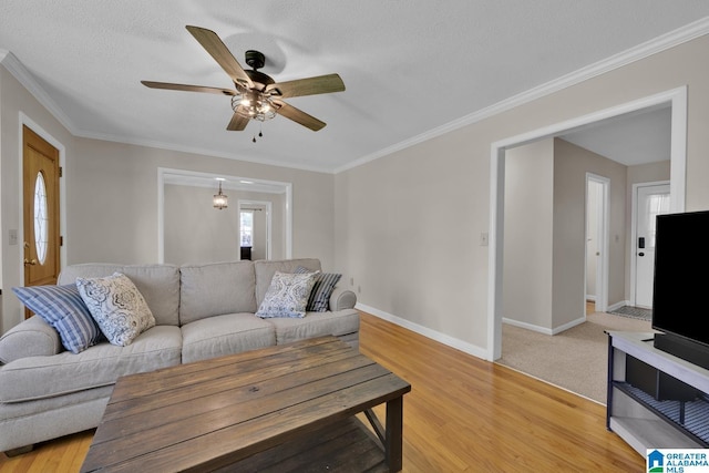 1416 11th St SE, Cullman, AL 35055 - living room with ceiling fan, baseboards, light wood-style flooring, and ornamental molding