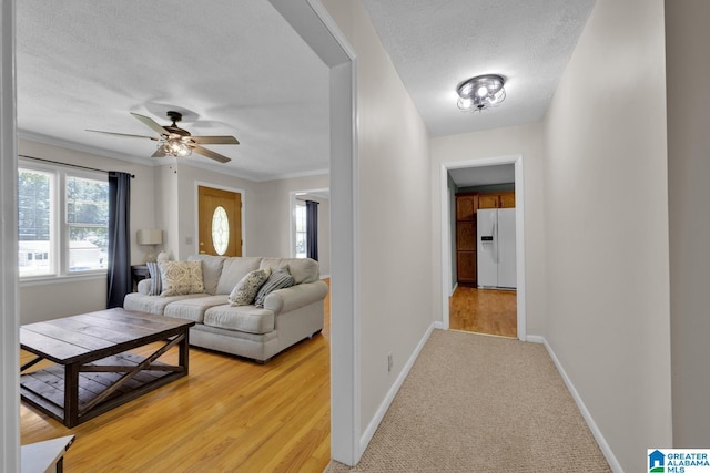 1416 11th St SE, Cullman, AL 35055 - living room featuring a textured ceiling, baseboards, a ceiling fan, crown molding, and light wood-style floors