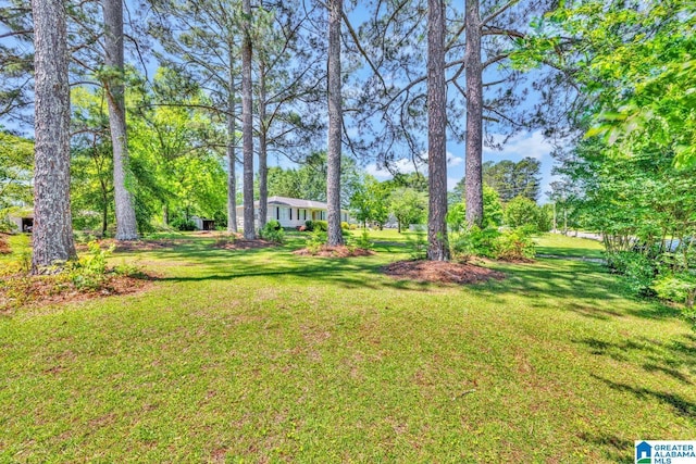 1416 11th St SE, Cullman, AL 35055 - view of grassy yard