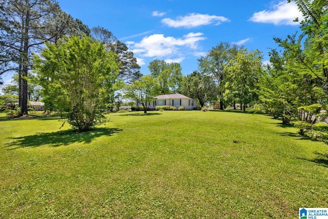 1416 11th St SE, Cullman, AL 35055 - view of green lawn