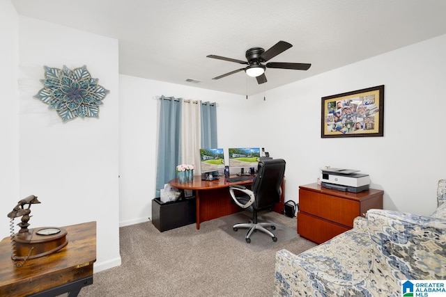 717 Country View Ter, Birmingham, AL 35215 - office space with carpet and ceiling fan