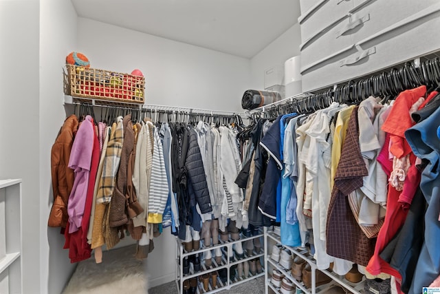 1063 Archers Trl E, Springville, AL 35146 - spacious closet featuring carpet flooring