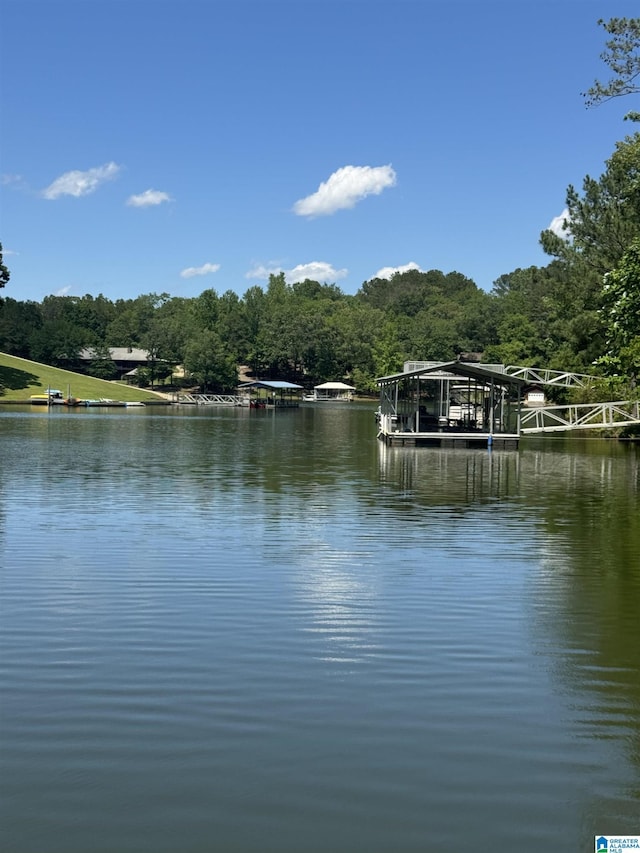 567 Brookwater Way, Wedowee, AL 36278 - water view featuring a floating dock and a forest