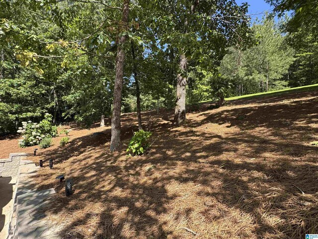 567 Brookwater Way, Wedowee, AL 36278 - view of yard