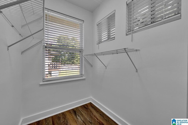 1119 8th Ave W, Birmingham, AL 35204 - walk in closet with dark wood-style flooring