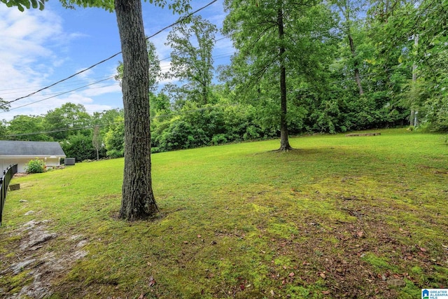 3208 N Woodridge Rd, Mountain Brook, AL 35223 - view of green lawn