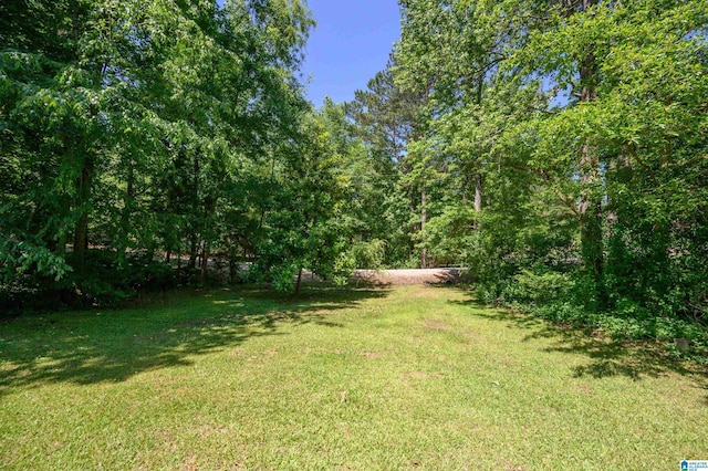 3628 Oscar Bradford Rd, Hayden, AL 35079 - view of green lawn