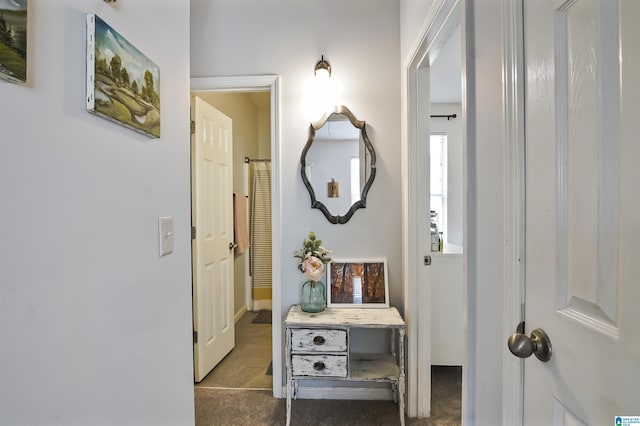 1206 Savannah Ln, Calera, AL 35040 - view of carpeted foyer