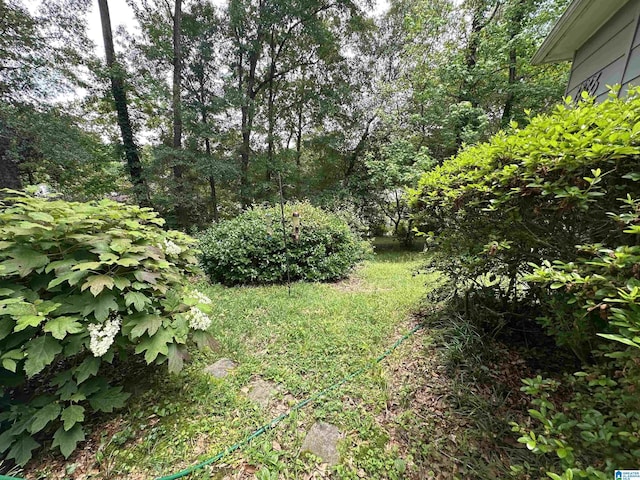 400 Shiloh Cir, Birmingham, AL 35213 - view of yard