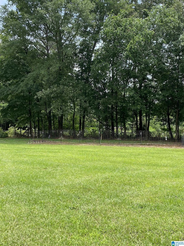 5769 Eastern Valley Rd, Mccalla, AL 35111 - view of yard