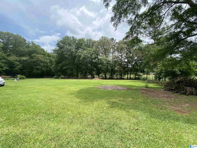 5769 Eastern Valley Rd, Mccalla, AL 35111 - view of green lawn