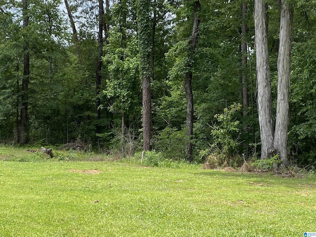 5769 Eastern Valley Rd, Mccalla, AL 35111 - view of woods