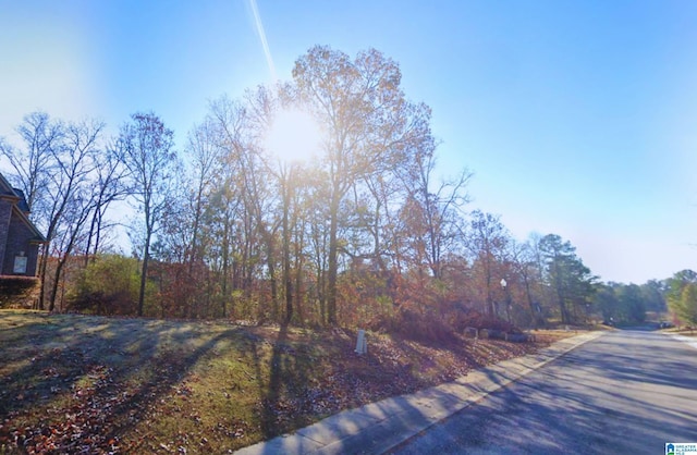190 Nottingham Dr Unit 10, Pell City, AL 35128