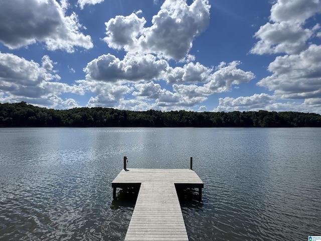 1794 Riverknolle Rd, Tallassee, AL 36078 - dock area featuring a water view and a wooded view