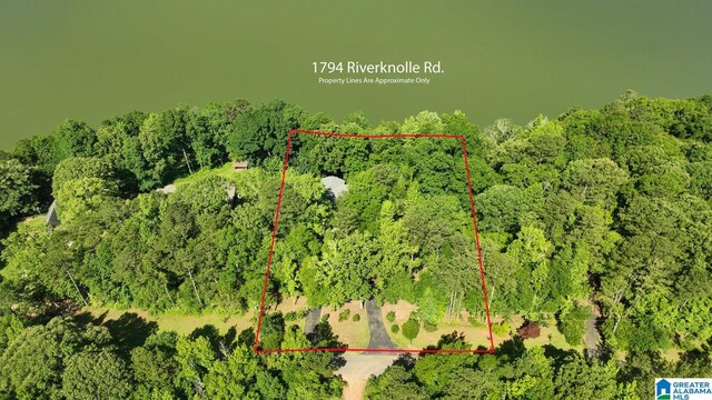 1794 Riverknolle Rd, Tallassee, AL 36078 - aerial overview of property's location featuring a forest and property parcel outlined