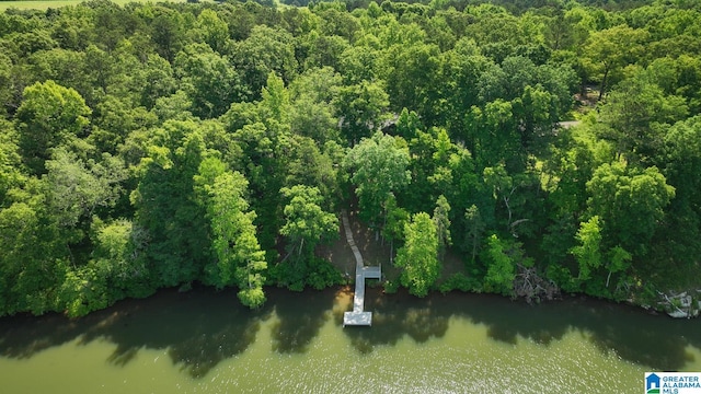 1794 Riverknolle Rd, Tallassee, AL 36078 - aerial view of a nearby body of water and a forest