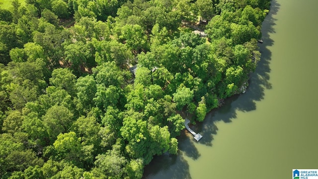 1794 Riverknolle Rd, Tallassee, AL 36078 - bird's eye view
