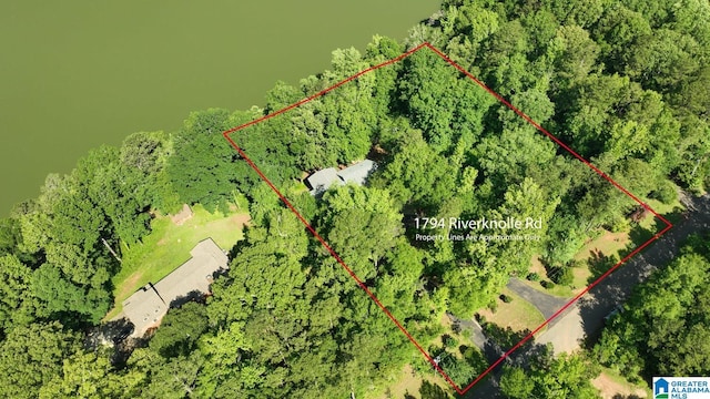 1794 Riverknolle Rd, Tallassee, AL 36078 - aerial view of property and surrounding area featuring property parcel outlined