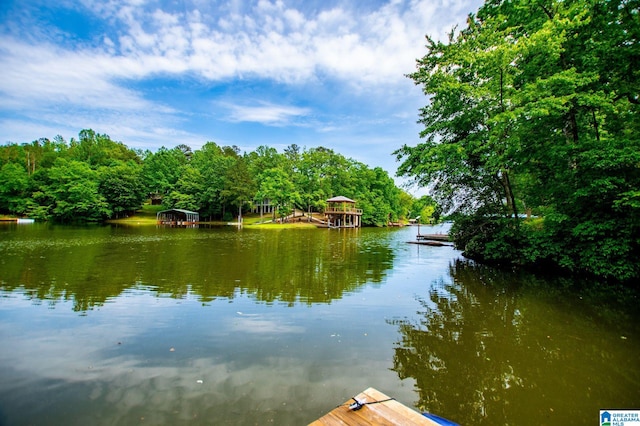 327 County Road 4315, Wedowee, AL 36278 - water view with a dock and a forest