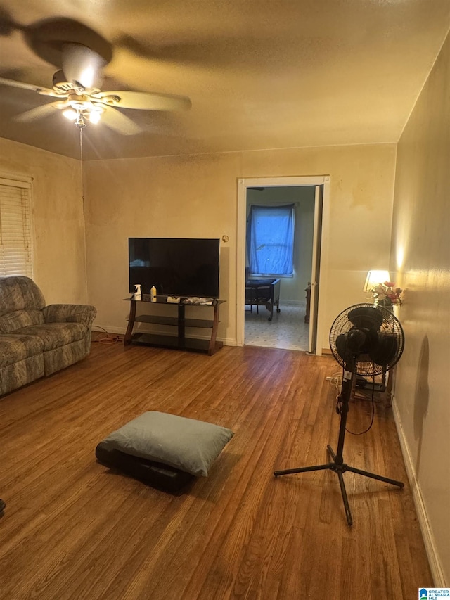 9709 Mize Rd, Remlap, AL 35133 - living room featuring wood finished floors and ceiling fan