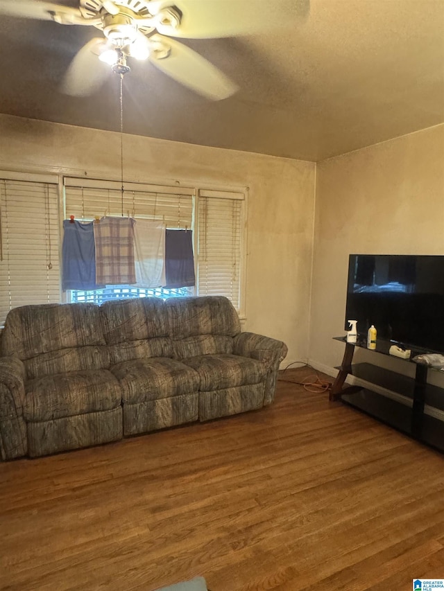 9709 Mize Rd, Remlap, AL 35133 - living room featuring wood finished floors and a ceiling fan