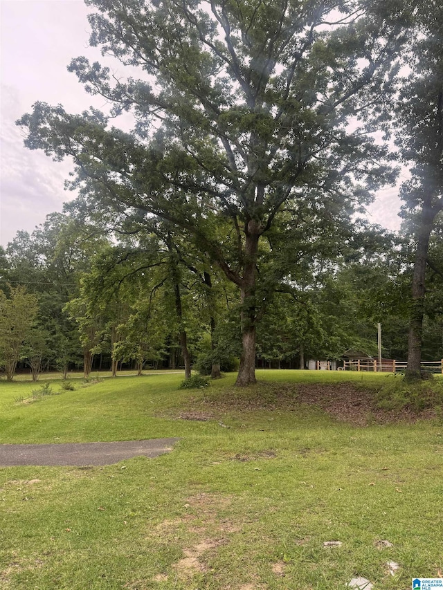 9709 Mize Rd, Remlap, AL 35133 - view of grassy yard