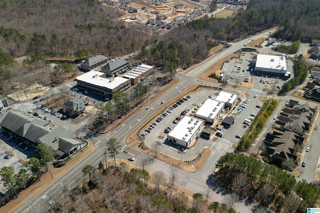 2982 Kelham Grove Way, Birmingham, AL 35242 - aerial view of property's location