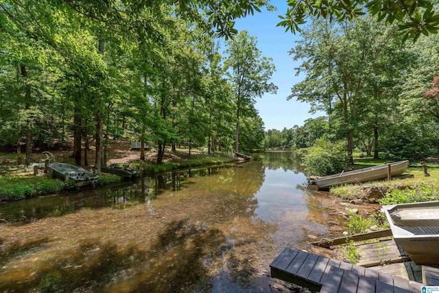 1272 Highland Lakes Trl, Birmingham, AL 35242 - water view featuring a heavily wooded area