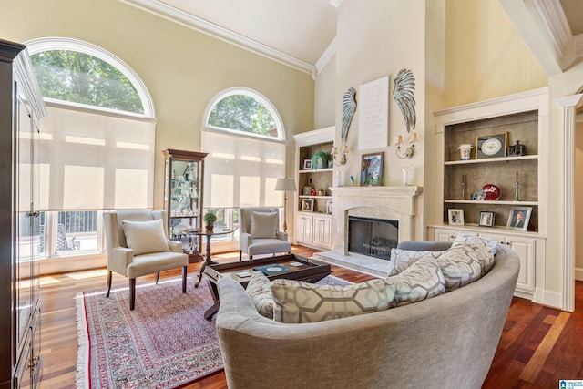 1272 Highland Lakes Trl, Birmingham, AL 35242 - living area featuring high vaulted ceiling, crown molding, a fireplace with raised hearth, and dark wood-style flooring