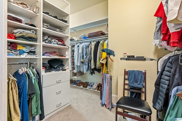 1272 Highland Lakes Trl, Birmingham, AL 35242 - walk in closet featuring carpet floors