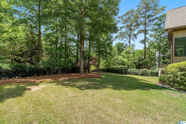 1272 Highland Lakes Trl, Birmingham, AL 35242 - view of green lawn