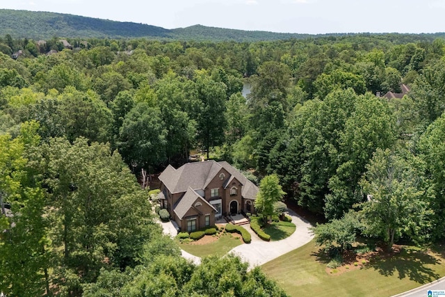1272 Highland Lakes Trl, Birmingham, AL 35242 - aerial view of property and surrounding area featuring a forest