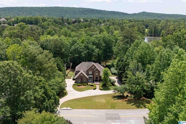1272 Highland Lakes Trl, Birmingham, AL 35242 - view from above of property featuring a heavily wooded area
