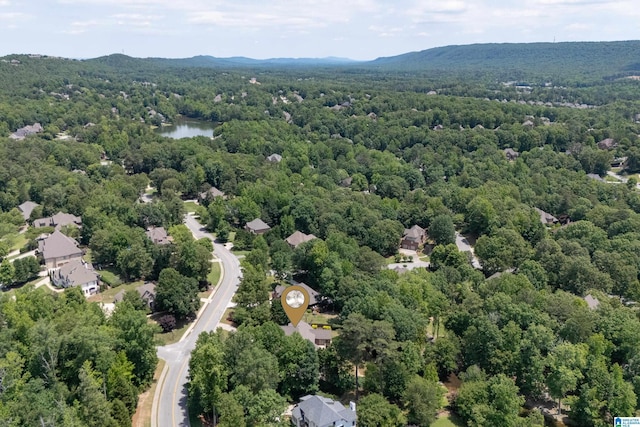 1272 Highland Lakes Trl, Birmingham, AL 35242 - bird's eye view of a forest and a water and mountain view