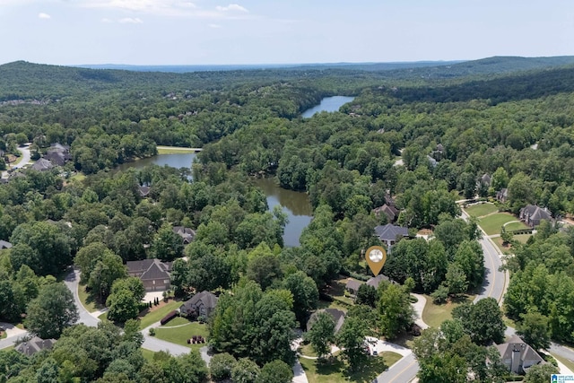 1272 Highland Lakes Trl, Birmingham, AL 35242 - bird's eye view of a heavily wooded area and a nearby body of water