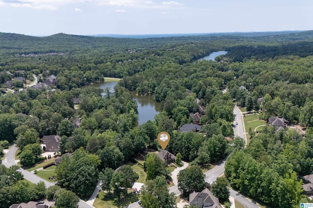 1272 Highland Lakes Trl, Birmingham, AL 35242 - aerial view of a forest and a nearby body of water