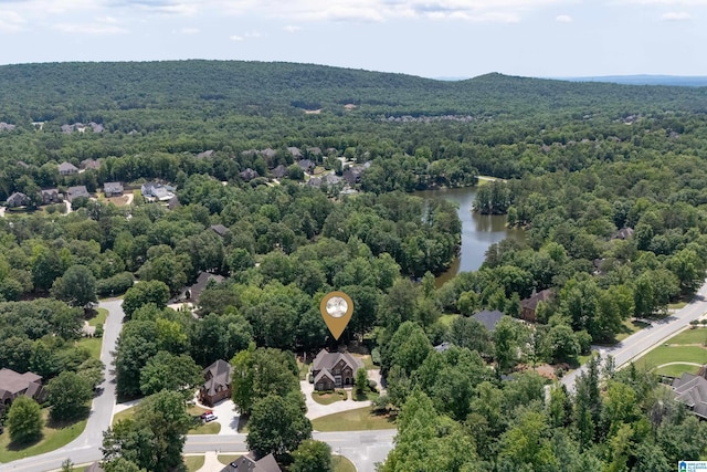 1272 Highland Lakes Trl, Birmingham, AL 35242 - aerial view of a forest and a large body of water