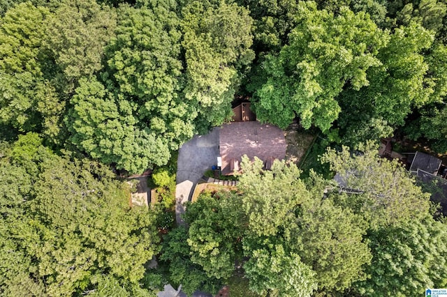 2013 Crossvine Rd, Hoover, AL 35244 - view of property location