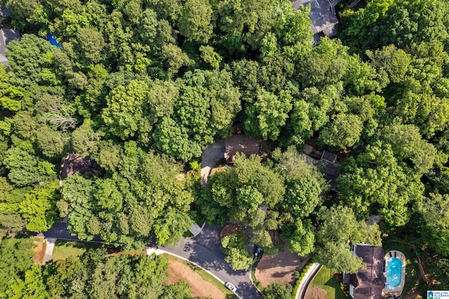 2013 Crossvine Rd, Hoover, AL 35244 - aerial overview of property's location