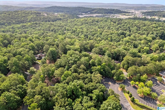 2013 Crossvine Rd, Hoover, AL 35244 - aerial view of a forest