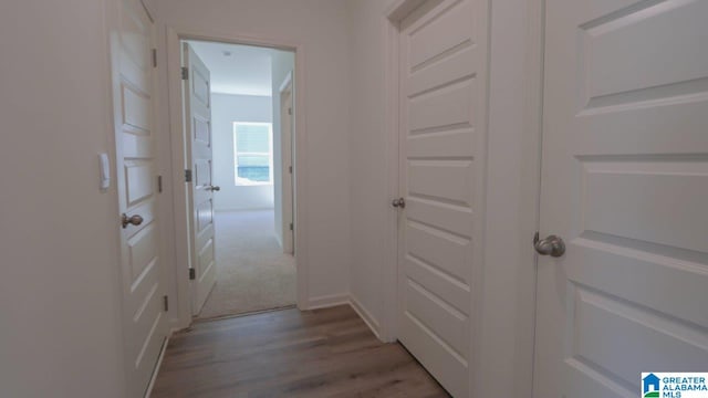 629 Fish Camp Rd, Chelsea, AL 35043 - corridor with light wood-style flooring