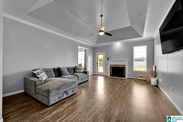 2304 Spaulding Pl, Moody, AL 35004 - living room with a tray ceiling, ceiling fan, wood finished floors, a fireplace, and baseboards