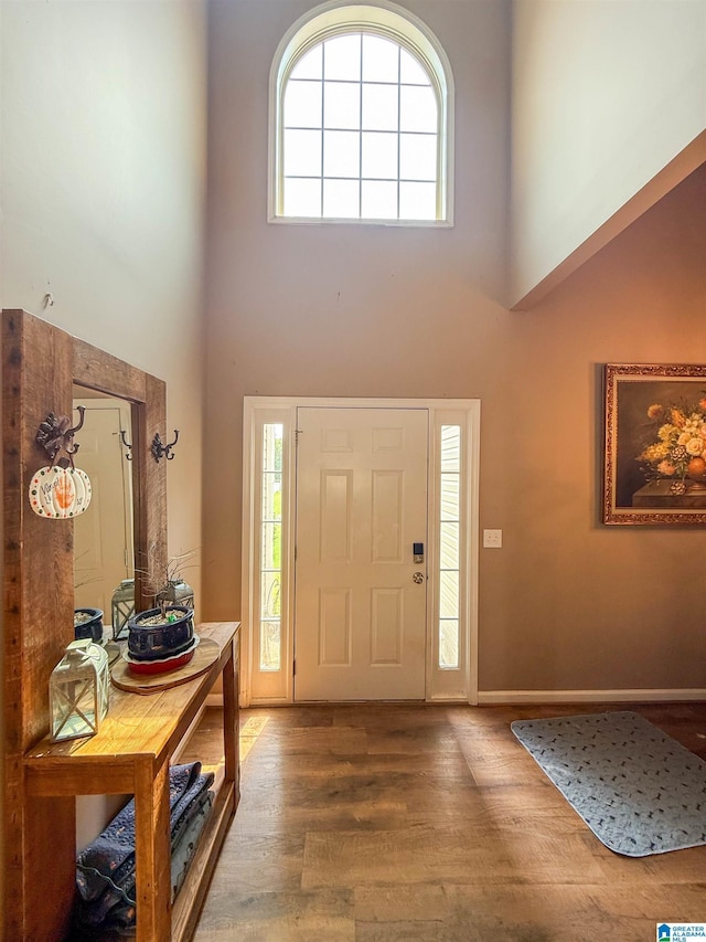 184 Raptor Way, Anniston, AL 36207 - foyer with a towering ceiling, wood finished floors, plenty of natural light, and baseboards