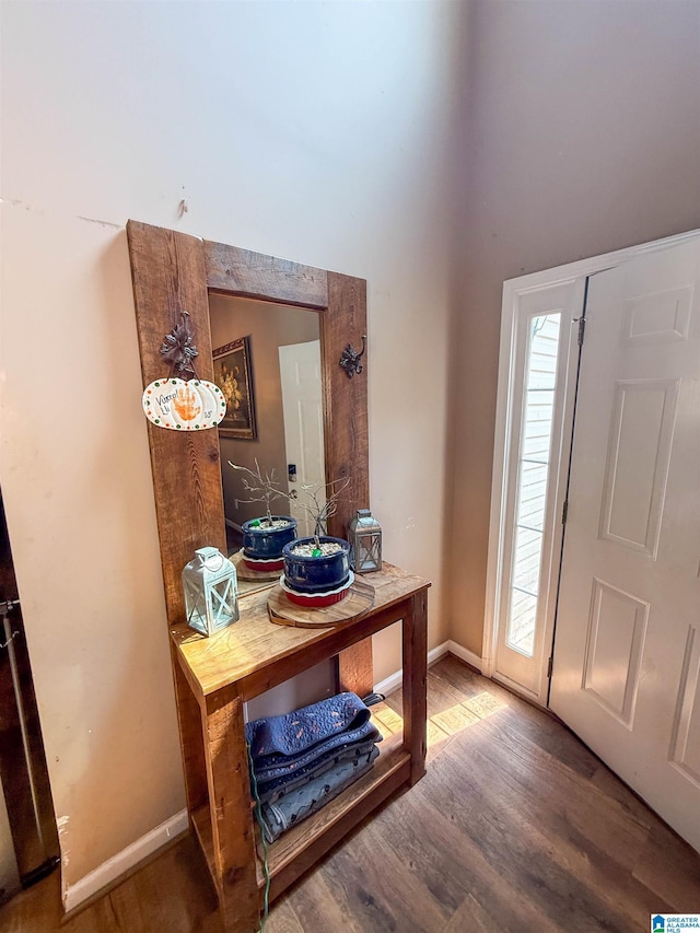 184 Raptor Way, Anniston, AL 36207 - entrance foyer featuring wood finished floors, baseboards, and a high ceiling