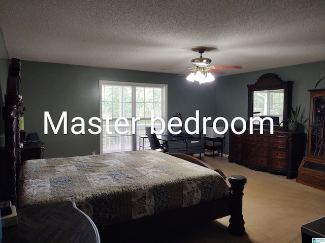 3409 Red Valley Rd, Remlap, AL 35133 - bedroom with multiple windows, ceiling fan, light carpet, and a textured ceiling