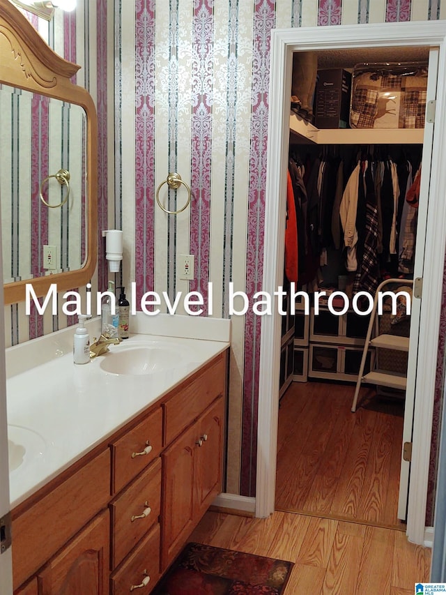 3409 Red Valley Rd, Remlap, AL 35133 - bathroom with double vanity, a spacious closet, and wood finished floors